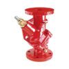 Armstrong Flo-Trex Valves