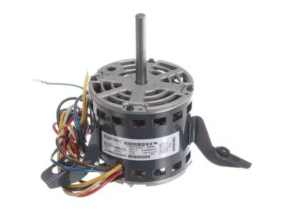 Whalen MOTOR 115V 5KCP29FG8692BS CCW