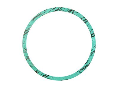 Armstrong Nitrile Casing Gaskets